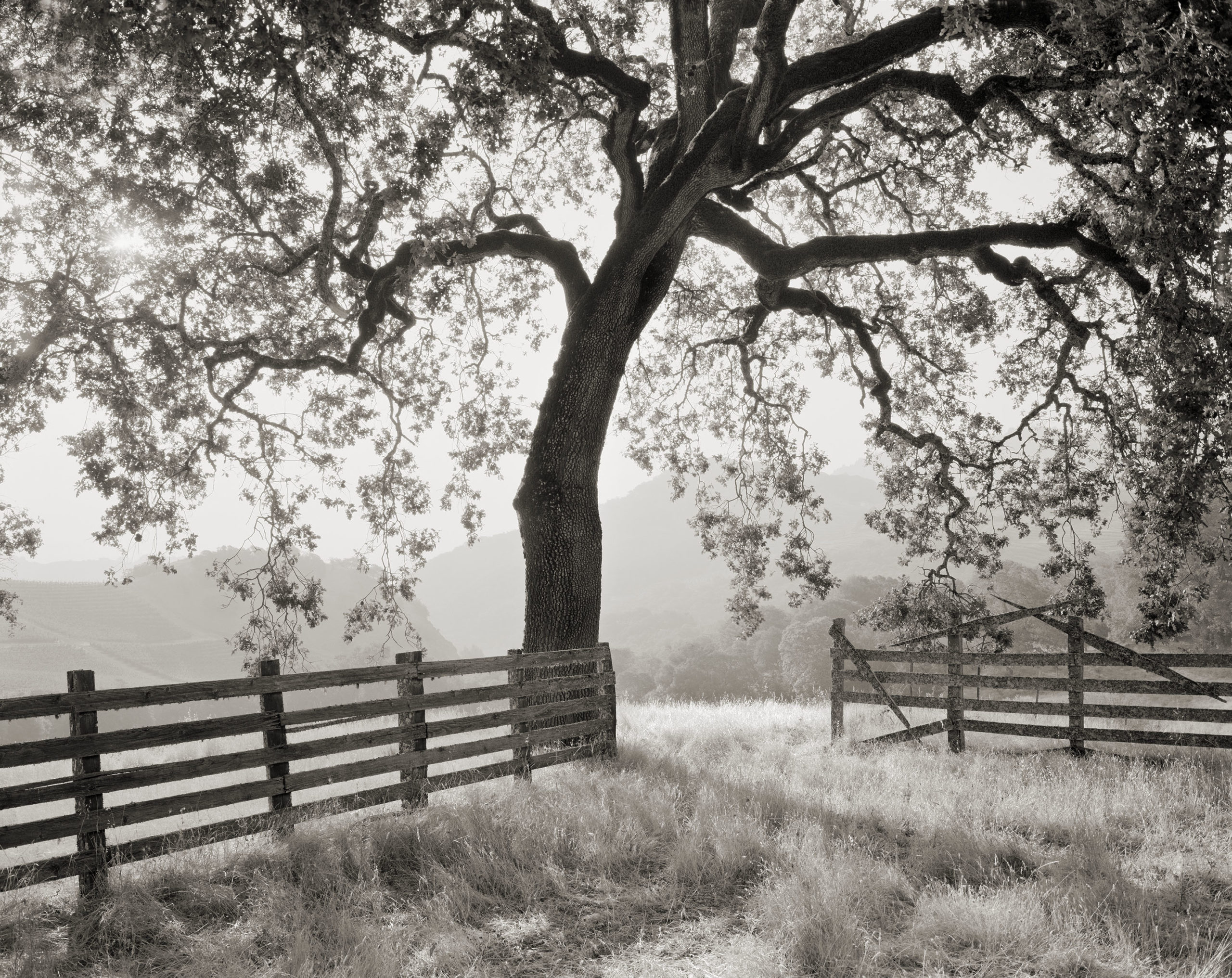 Cain Vineyard & Winery