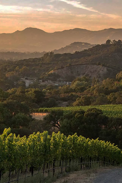 Cakebread Cellars