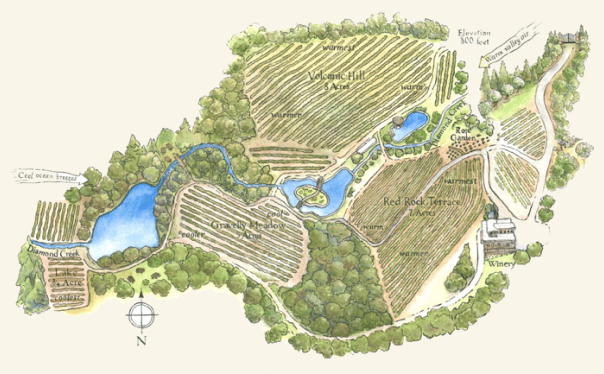 Diamond Creek Vineyards