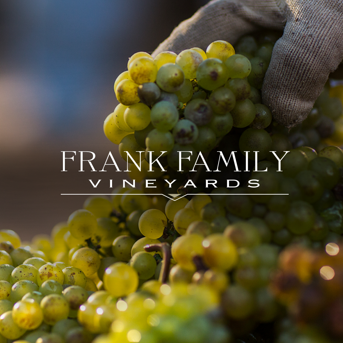 Frank Family Vineyards