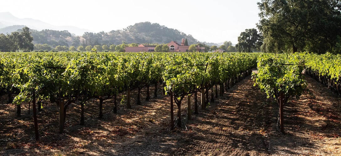 Groth Vineyards & Winery