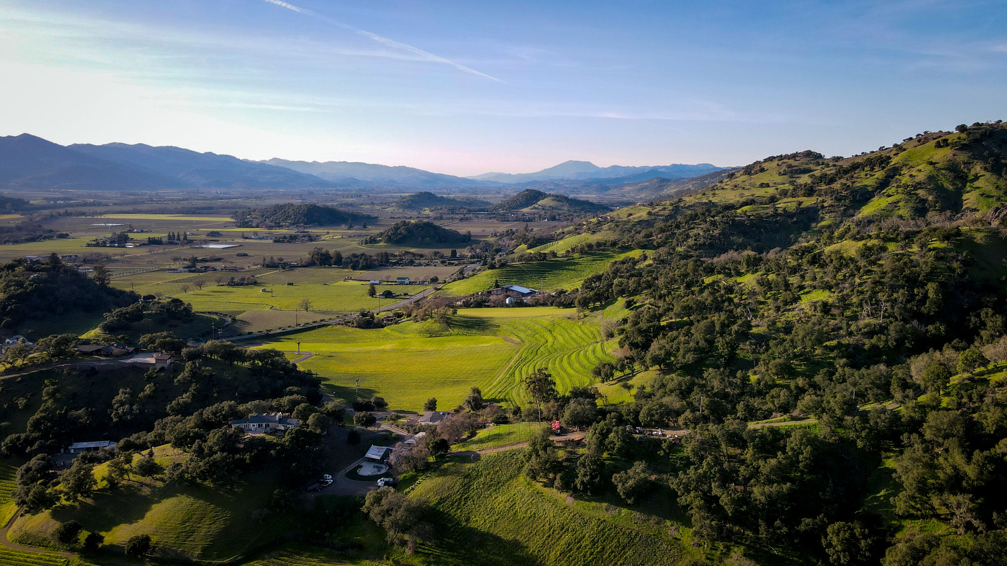 Ilsley Vineyards
