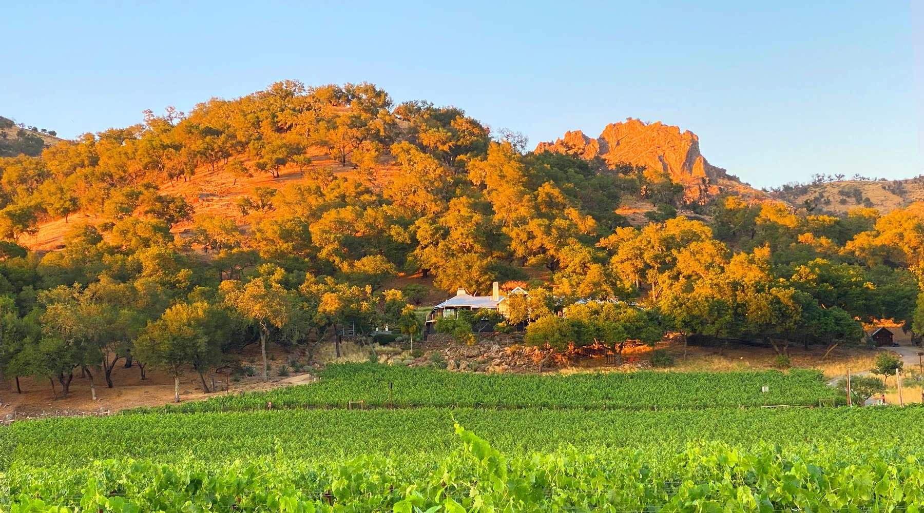 Malk Family Vineyards