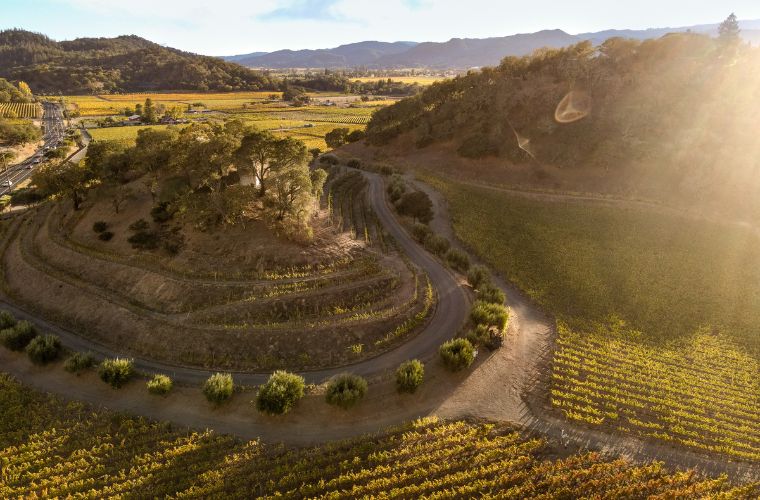 Pine Ridge Vineyards