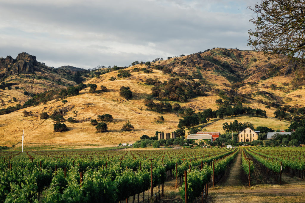 Regusci Winery