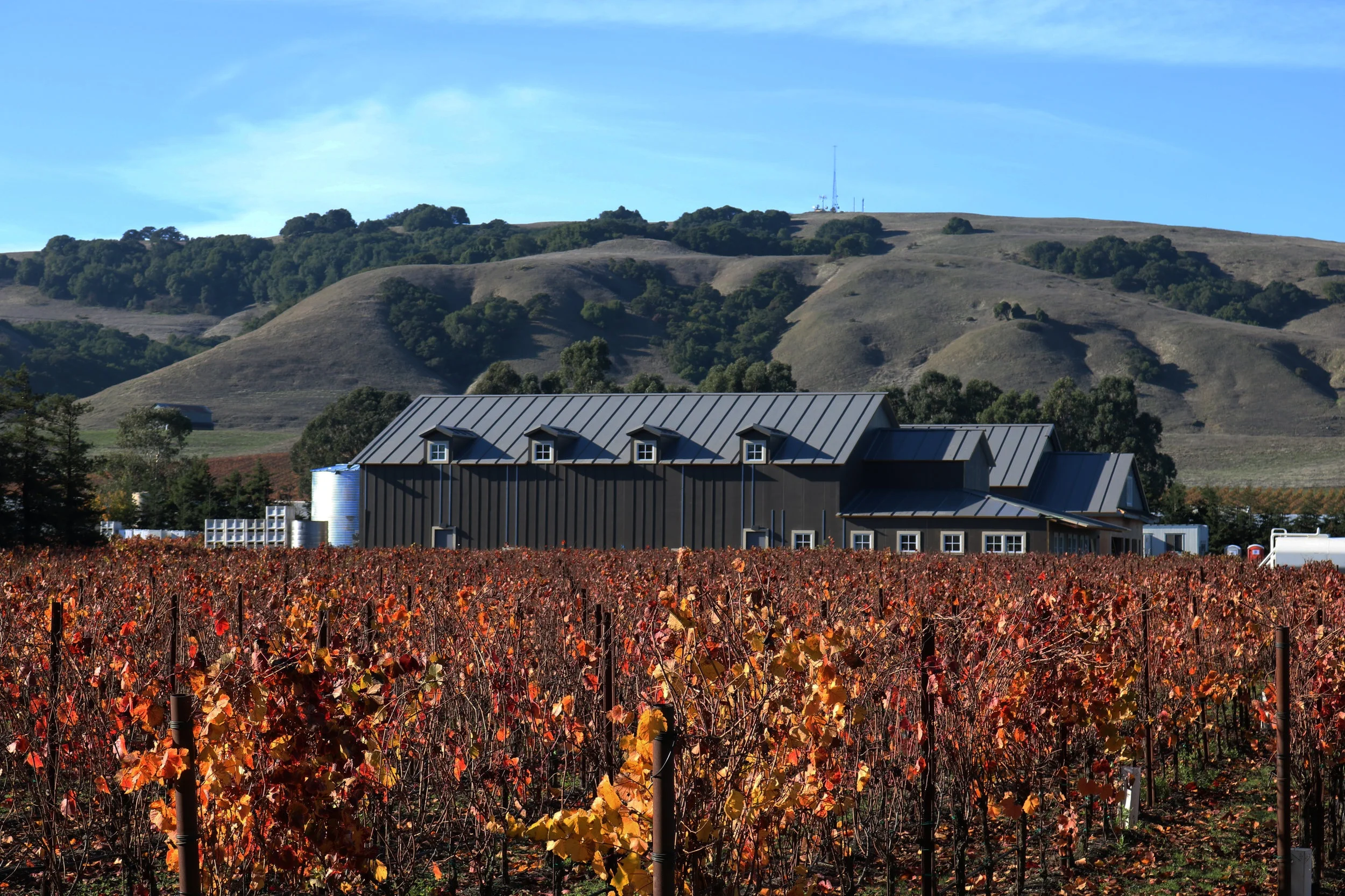 Roche Winery