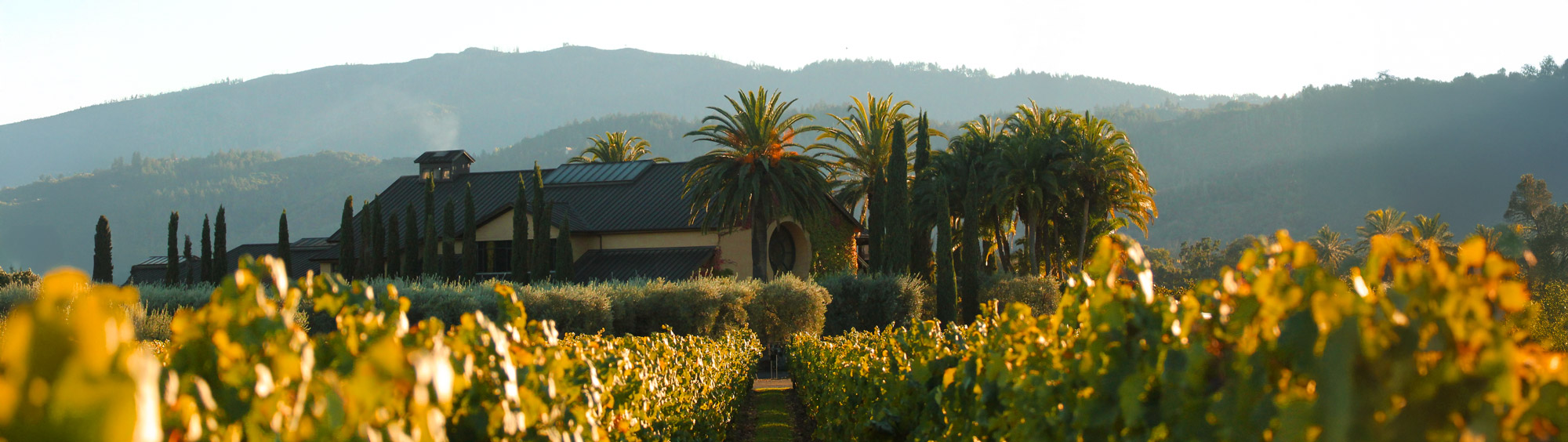 Round Pond Estate