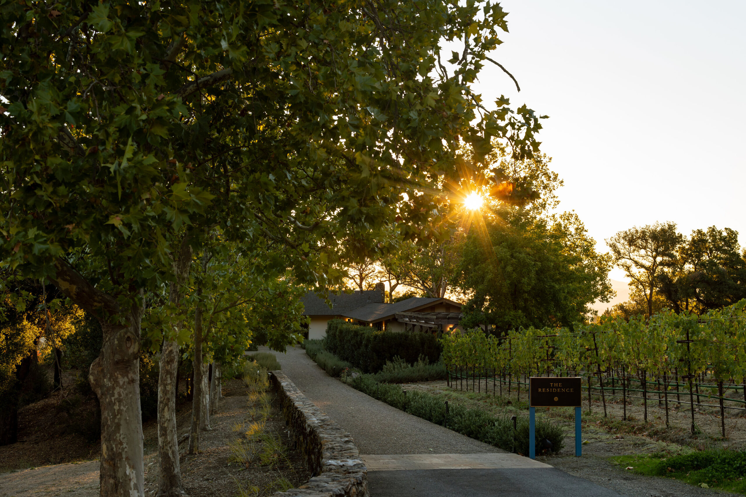 Stony Hill Vineyard