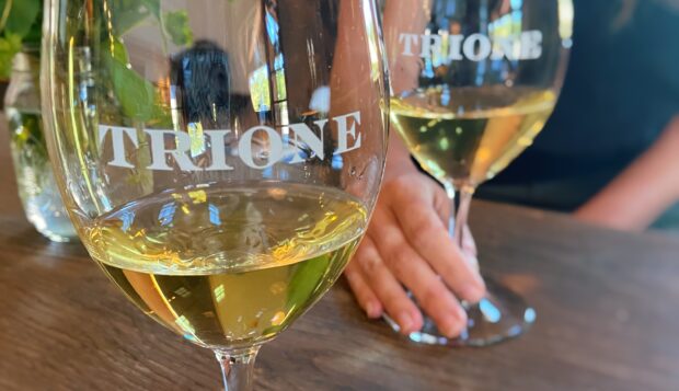 Trione Vineyards and Winery