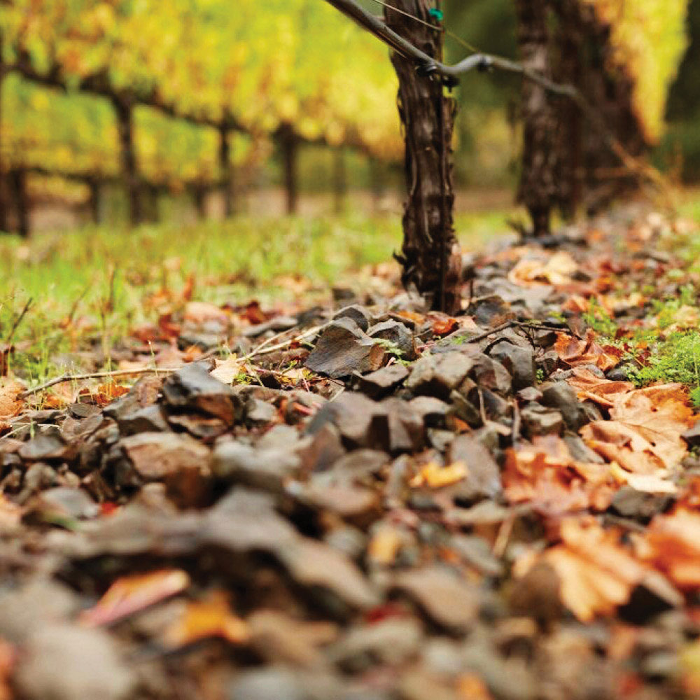 Turnbull Wine Cellars