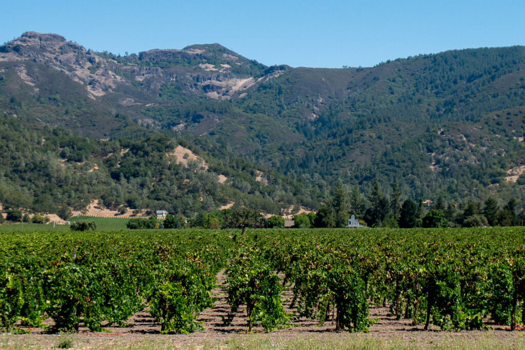 Vermeil Wines